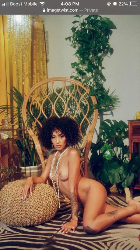 Sunnibytch estrella de alta calidad galerías