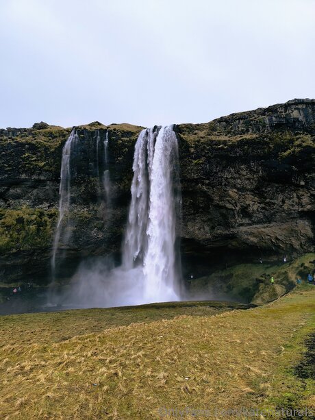 Katenaturals estrella erótica archivo