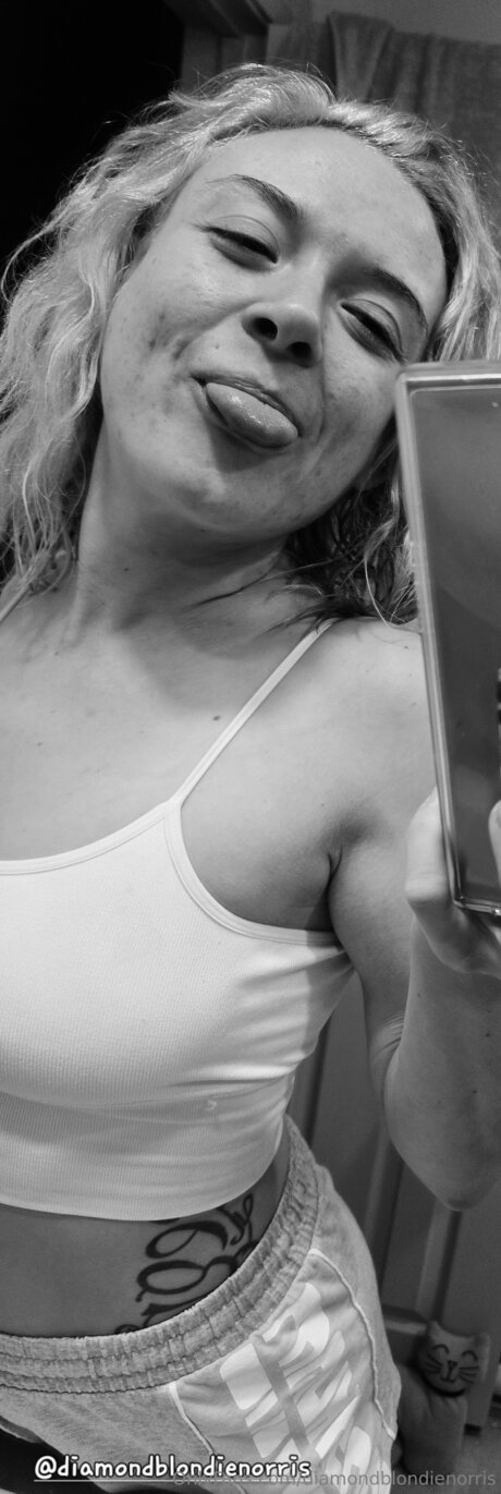 Diamondblondienorris estrella superior fotos