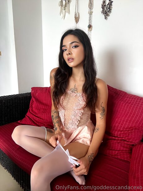 Goddesscandacexo estrella porno mejor archivo