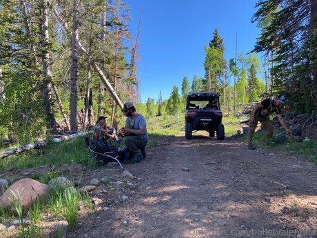 Bulletvalentina estrella bonita galerías