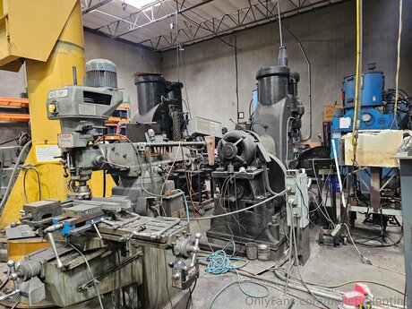 Bulletvalentina estrella agradable fotos