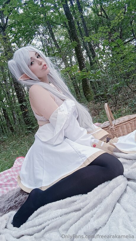 Freearakamelia estrella imágenes