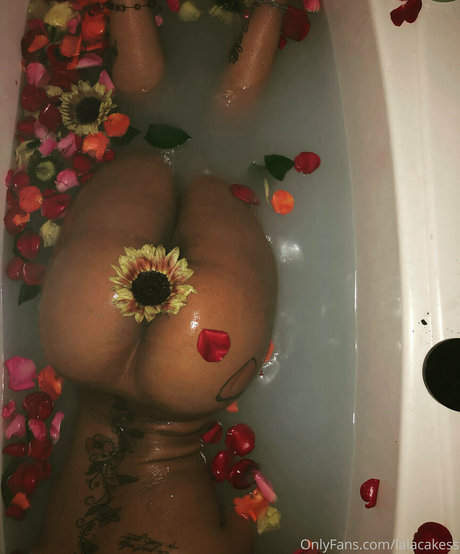 lalacakes estrella porno erótica archivo