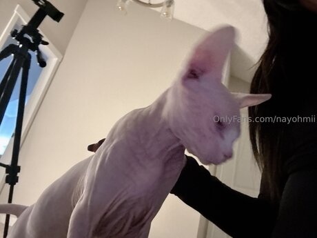 Nayohmii estrella porno exclusiva galería