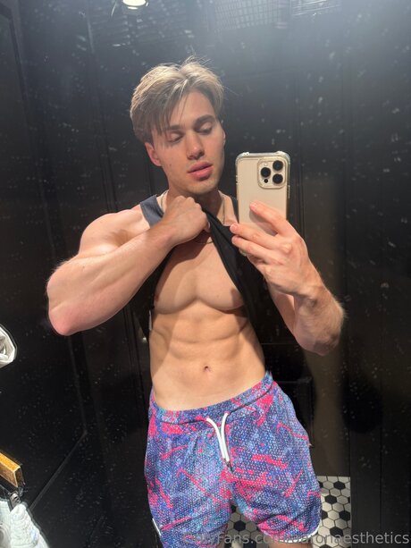 Aaronaesthetics estrella perfecta recopilación