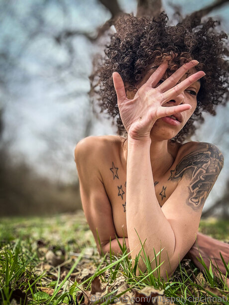 Misspolycincinnati hermosa estrella foto