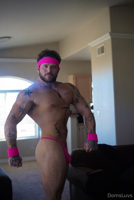 Domsluvz estrella caliente imágenes