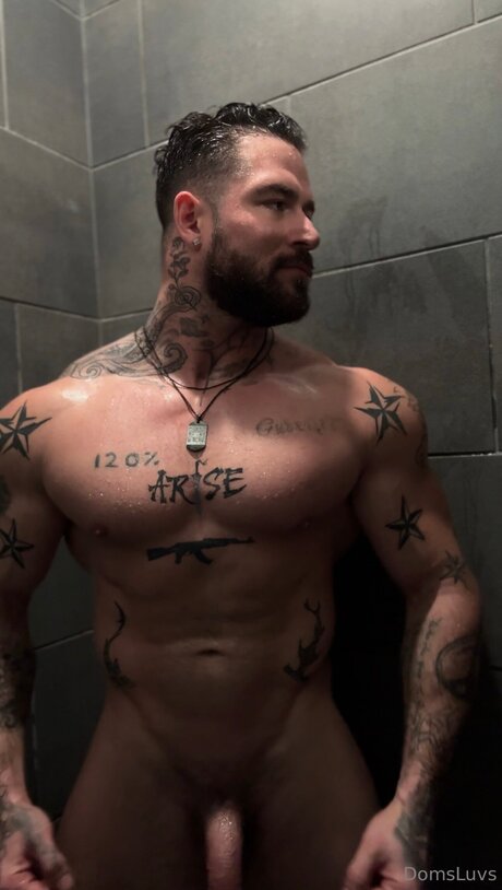 Domsluvz hermosa estrella fotos