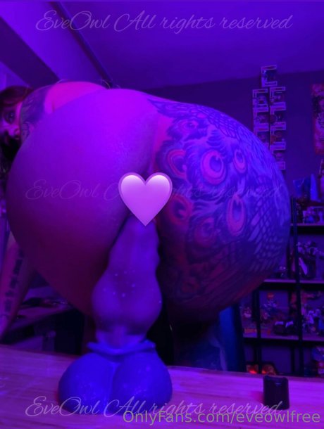 Eve owl linda estrella galería