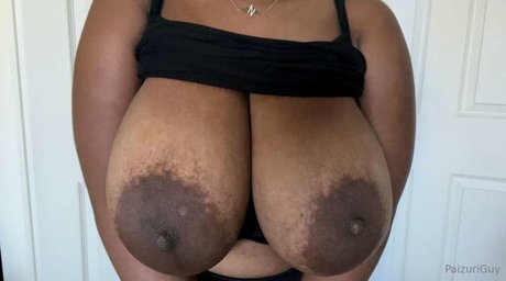 _Maya estrella galerías