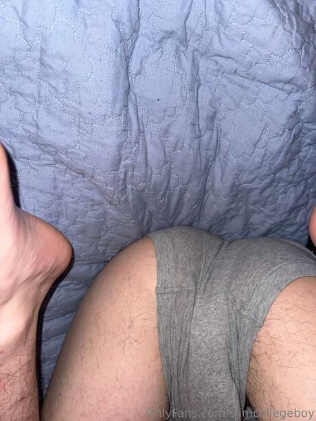 Slimcollegeboy estrella adulta imagen