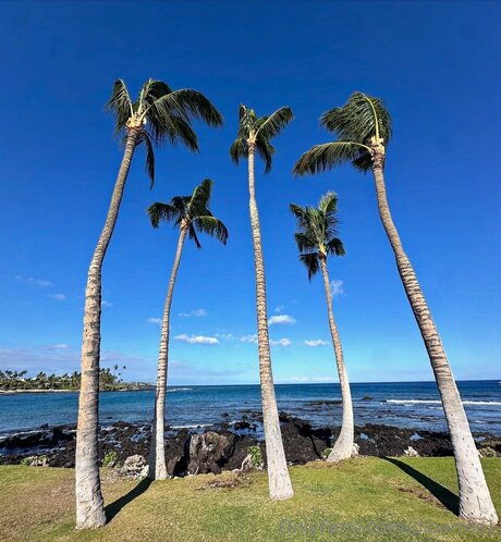 Dibarros1 estrella porno bonita foto