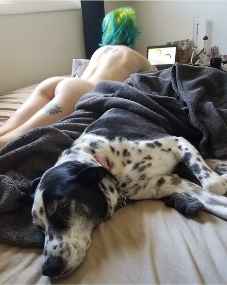 Faebelle estrella libre archivo