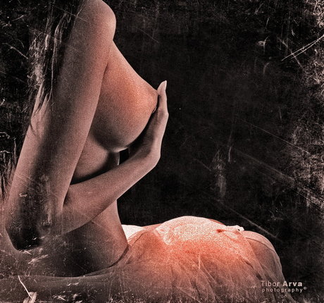 Zrenjanin estrella caliente galerías