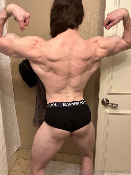 Artofanatomy estrella imágenes