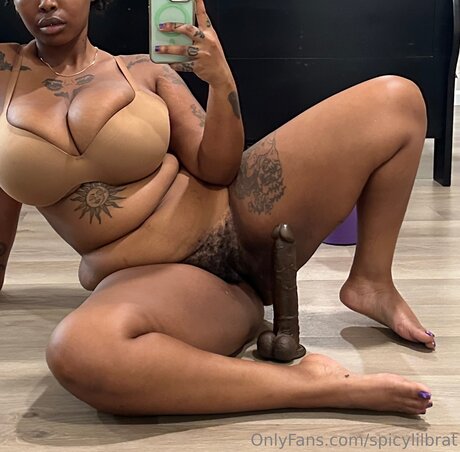 Spicylilbrat modelo de arte galerías