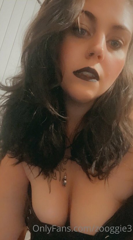 zooggie3 estrella atractiva imágenes