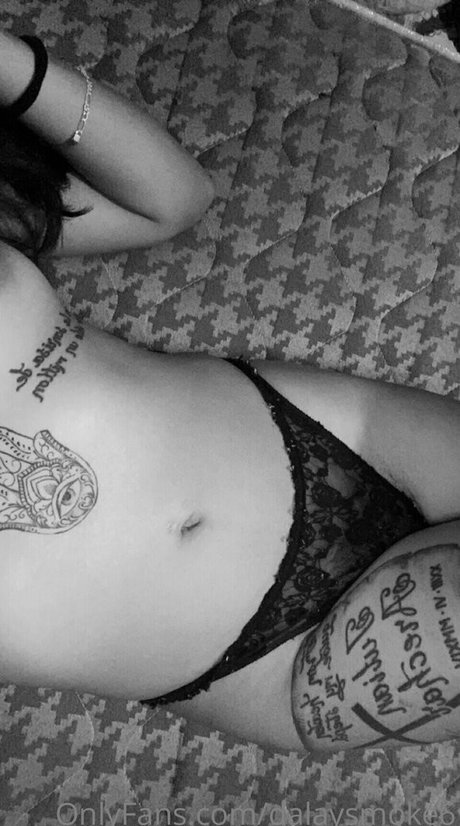 Dalaysmoke6 estrella atractiva galerías