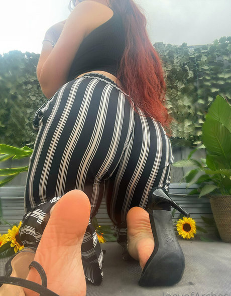 fans de amas de casa mejor bonita imágenes