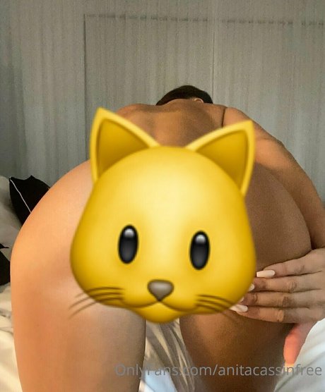 anitacassinfree estrella porno gratis imágenes