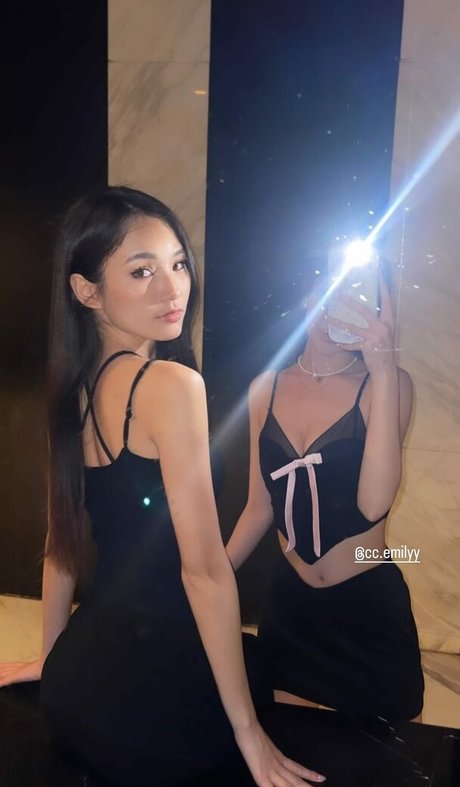 Waterlynn modelo archivo