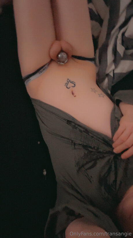 Transangie buena estrella porno galerías