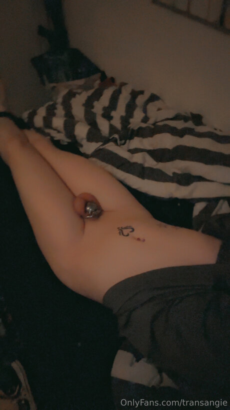 Transangie sexo modelo galerías