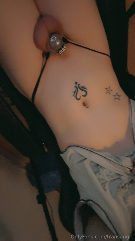 Transangie desnudos de modelos galería