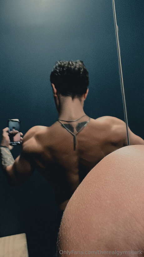 Therealgymshark estrella porno bonita imágenes