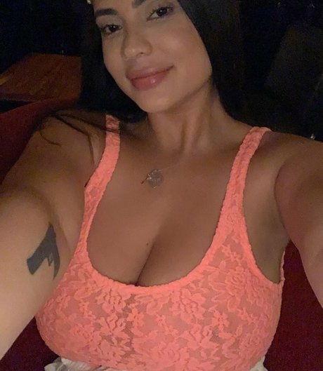 Sannatorr modelo archivo