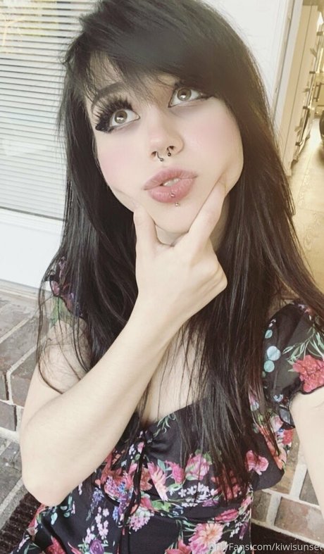 kiwisunset modelo de arte imagen