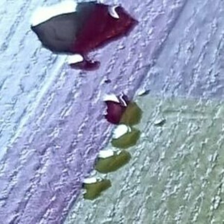 scarlett johnson24 Profilfoto