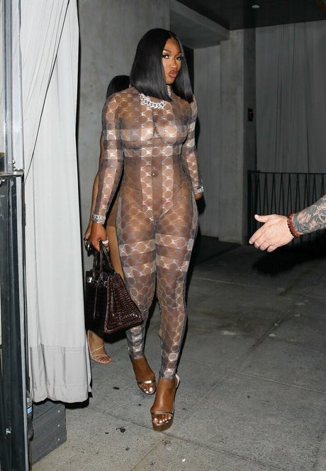 Megan Thee Stallion estrella porno superior imágenes