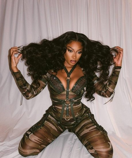 Megan Thee Stallion desnudos de estrellas porno foto