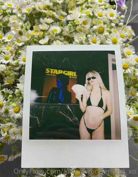 aliceinwonderland xo linda estrella recopilación