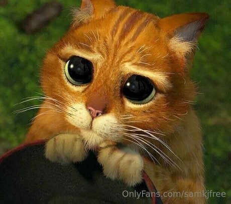 samkjfree estrella porno galerías