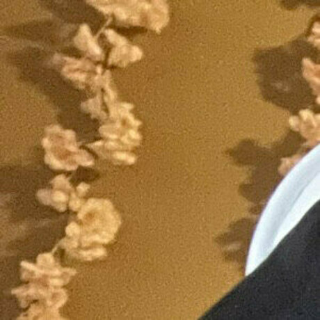 ellieidol estrella perfecta foto