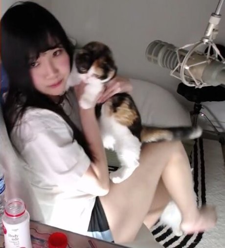 onlyfans de chicas trans cima libre fotos