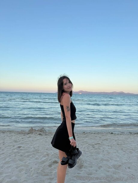 Sally Ride modelo superior foto