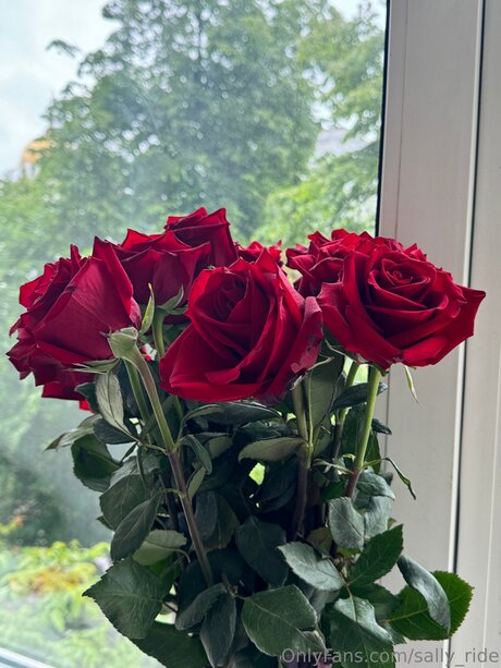 Sally Ride buena actriz galería