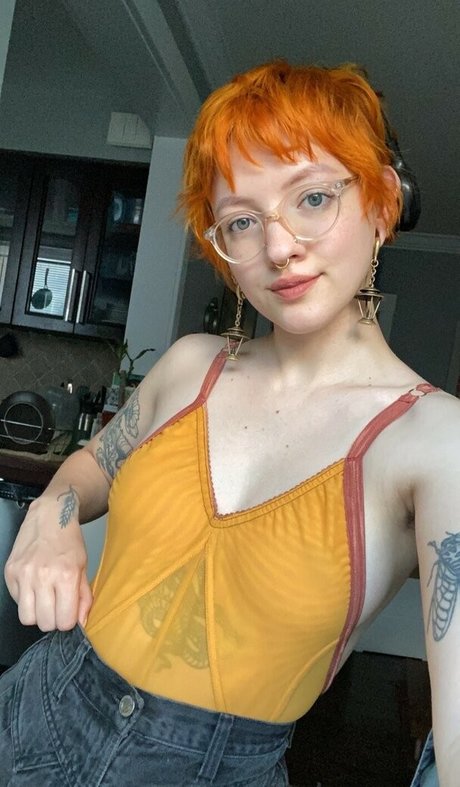 Pleasequietdown libre de estrellas galería