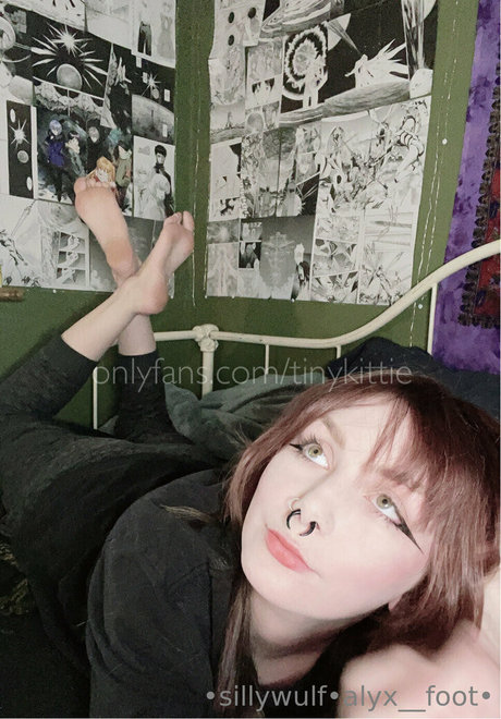 tinykittie hermosa estrella fotos