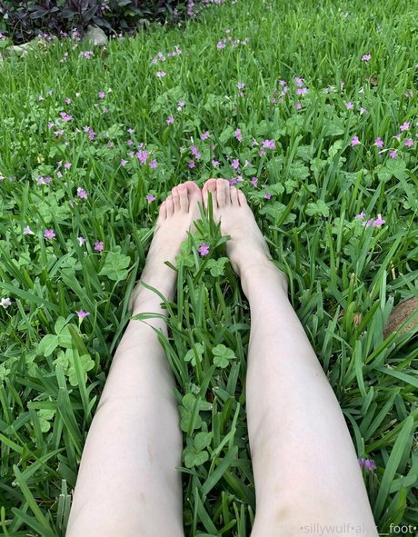 tinykittie estrella agradable fotos