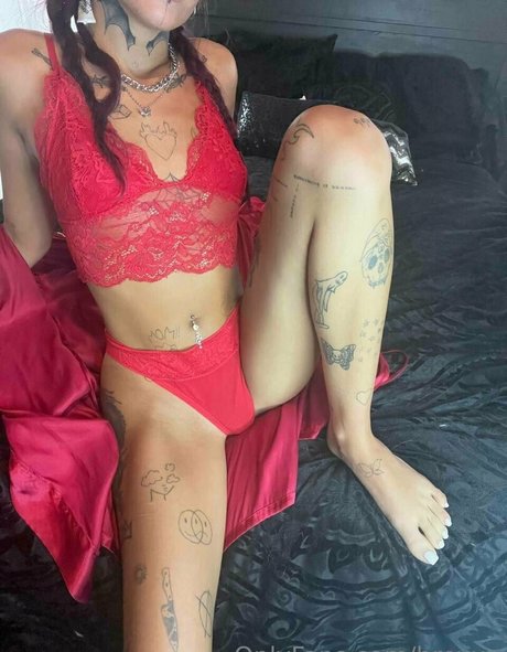 brexxo estrella agradable galerías