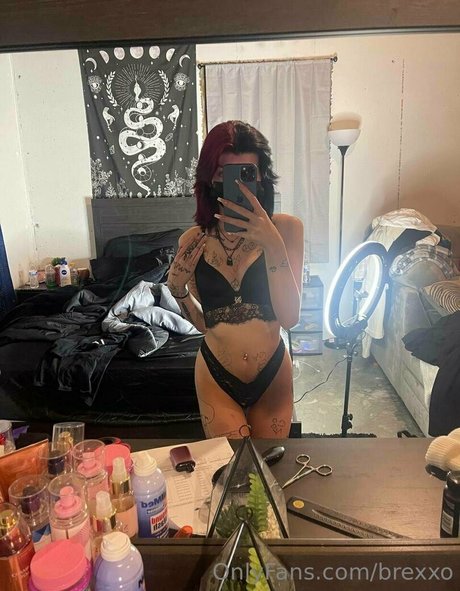 brexxo arte estrella porno galerías