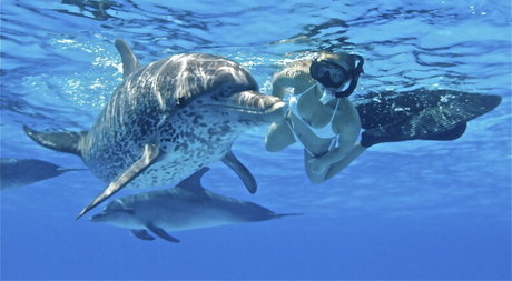 Hayden Panettiere actriz perfecta fotos