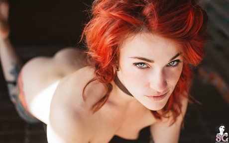 Frenia modelo atractivo galerías