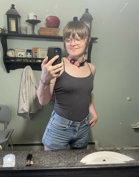 Moosebar estrella superior galería