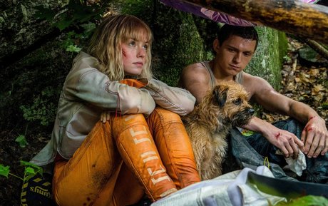 Daisy Ridley estrella pornografica imagen